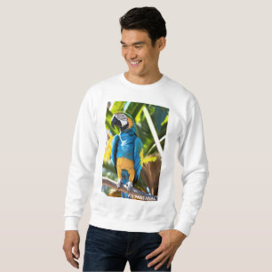 Suéter Básico Masculino Arara Azul