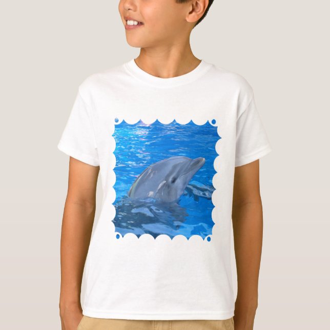 Suéter de Dolphin Kid do Bottlenose (Frente)