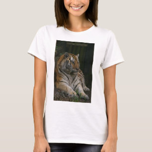 Suéter de Tigress