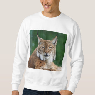 Suéter Lince CCO.