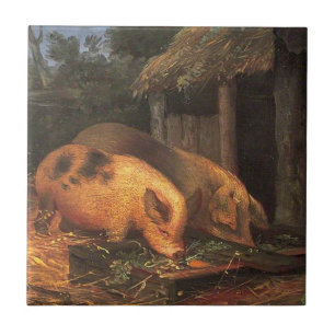 Suínos em um guincho (Animais do quintal)