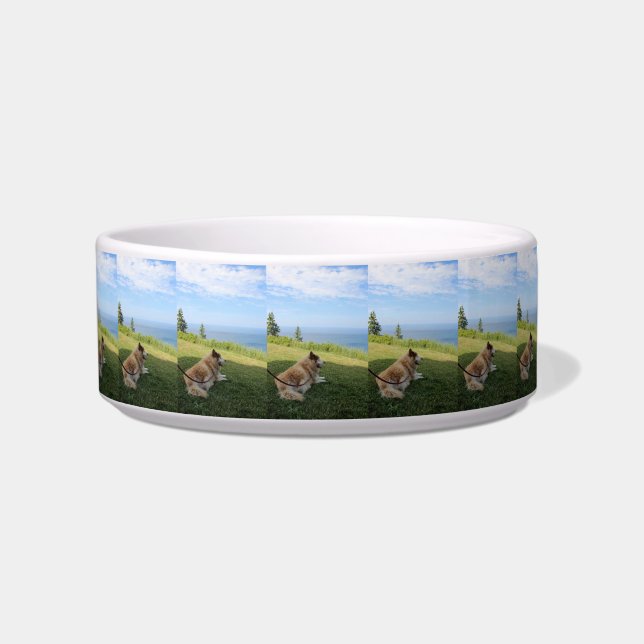 Suka Apreciando a Tigela de Pet de Cape George (Frente)