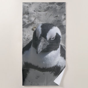 Sul bonito - toalha de praia africana do pinguim