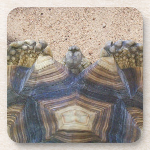 Sulcata Tortoise e Sand Magnet Stone Porta copos G