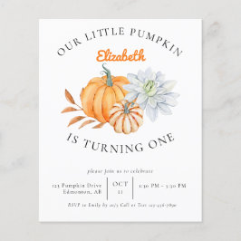 Sumário de primeiro aniversario de Abóbora de Orça