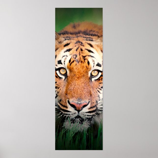 Sumatran Tiger Eyes Poster (Frente)
