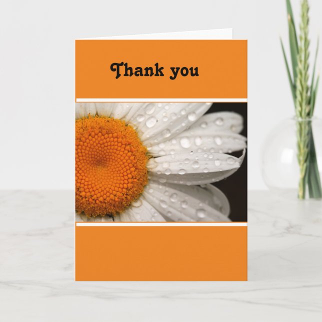 Summer Daisy - Obrigado Cartão de Saudação ao Vazi (Frente)