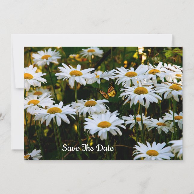 Summer Daisy Salva O Convite De Data (Frente)