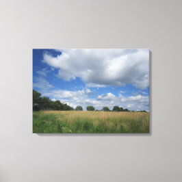 Summer Iowa Prairie Canvas Print