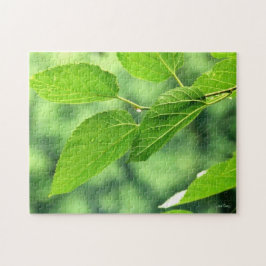 "Summer Leaves com Raindrots", Quebra-cabeça de se