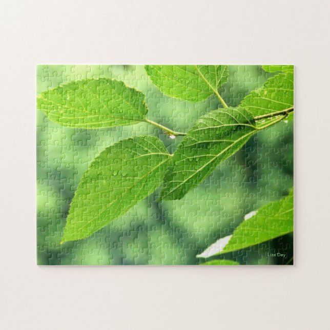 "Summer Leaves com Raindrots", Quebra-cabeça de se (Horizontal)