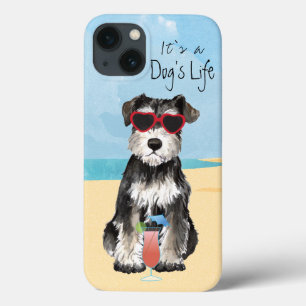 Summer Miniature Schnauzer