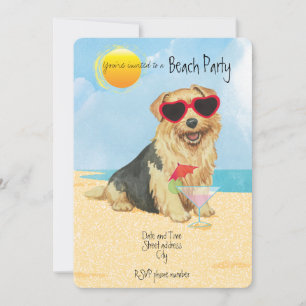 Summer Norfolk Terrier Beach Convite de festas