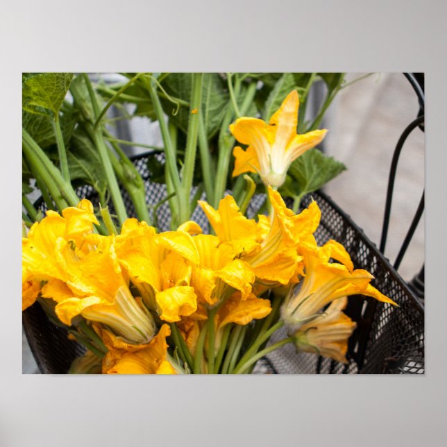 Summer Squash Blossoms Poster Paper (Matte) (Frente)