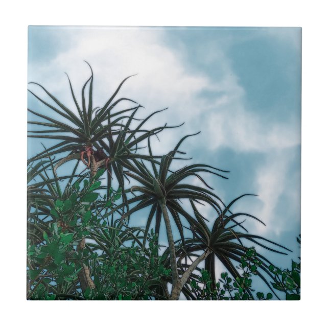 Summer Vibes Palm Tree Cactus Pale Green (Frente)