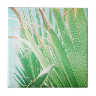 Summer Vibes Palm Tree deixa verde-claro
