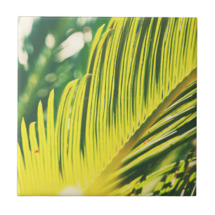 Summer Vibes Palm Tree deixa verde-claro