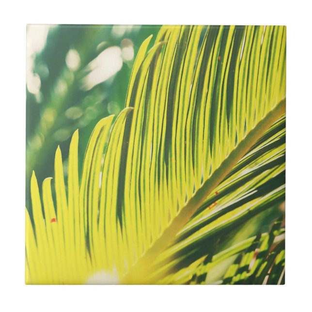 Summer Vibes Palm Tree deixa verde-claro (Frente)