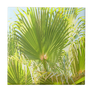 Summer Vibes Palm Tree deixa verde-claro