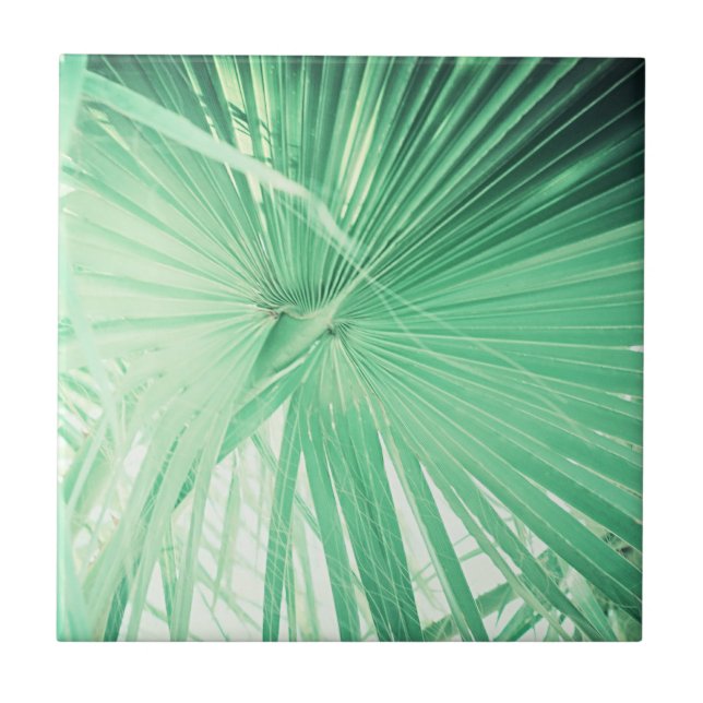 Summer Vibes Palm Tree deixa verde-claro (Frente)