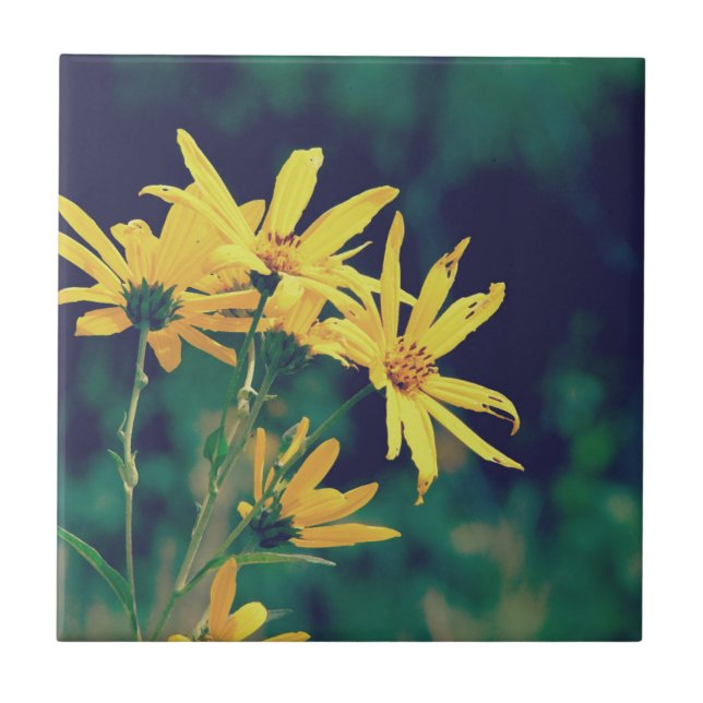Summertime Wildflower (Frente)