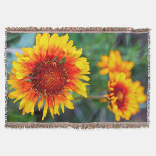 Súmula de olhos castanhos, flor de cobertor