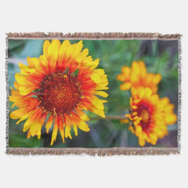 Súmula de olhos castanhos, flor de cobertor (Frente)