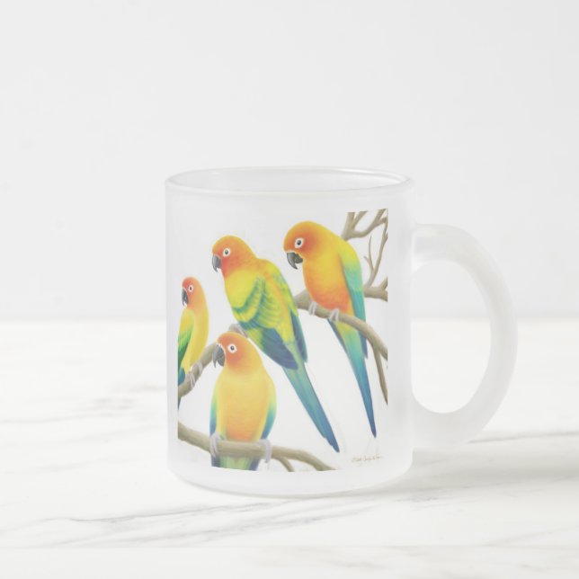 Sun Conure repete mecanicamente a caneca do vidro (Direita)