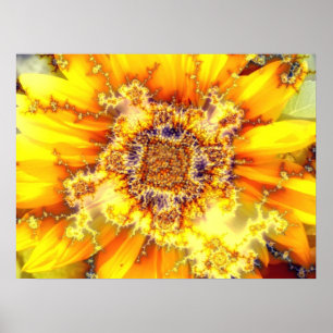 Sun de florescência - poster