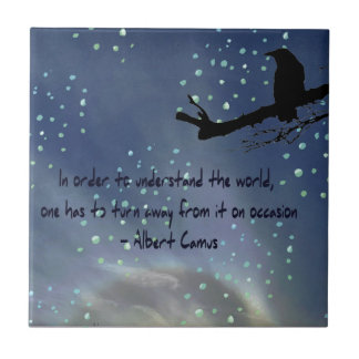 Sun Halo Snow com um Azulejo de cerâmica Raven