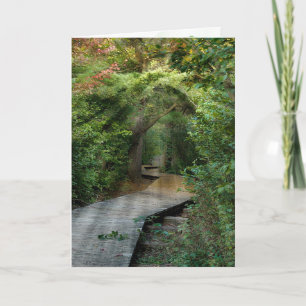 Sunbeams Florestais para Cartão de condolências