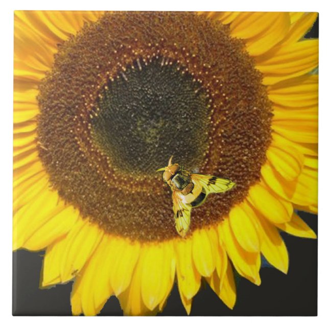 SUNFLOWER AND HONEY BEE ,BEEKEEPING, BEEKEPER (Frente)