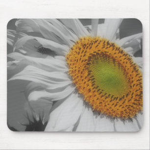Sunflower Close Up Black White Mousepad