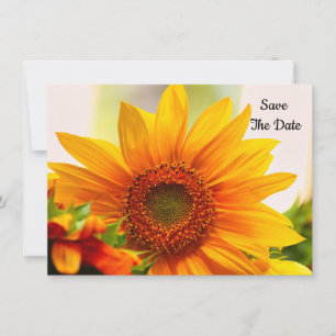 Sunflower Flat Salvar Cartão De Data
