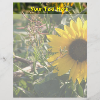 Sunflower Lethead