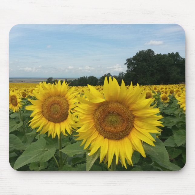 Sunflower Mousepad (Frente)