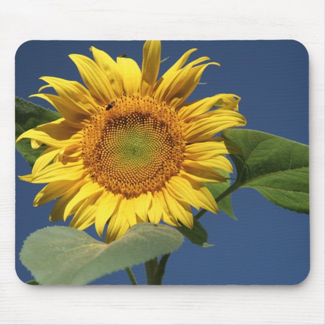 Sunflower Mousepad (Frente)