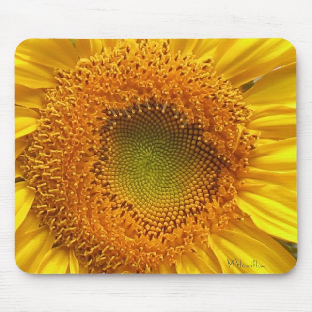 Sunflower Photo Mousepad (Frente)