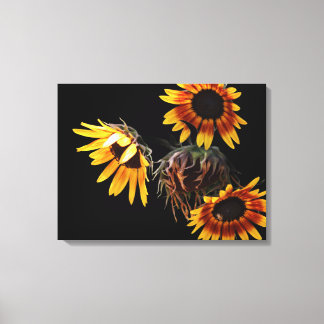 Sunflower Stretched Canvas Print