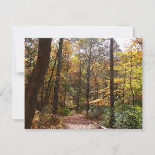 Sunlit Fall Trail no Parque Estadual de Laurel Hil