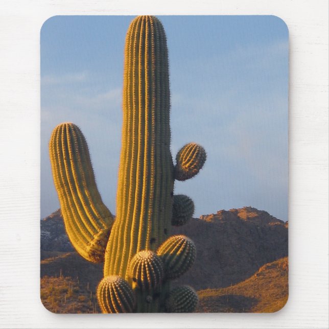 Sunlit Saguaro Cactus - Mousepad (Frente)