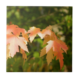 Sunny Autumn deixa Azulejo decorativo