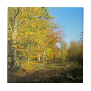 Sunny Autumn Walk - Cerâmica Personalizada