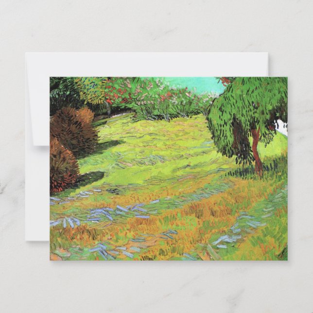 Sunny Lawn em um Parque Público por Vincent van Go (Frente)