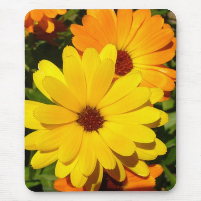 SUNNY MARIGOLD Mousepad (Frente)