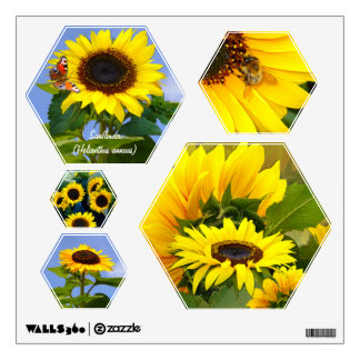 Sunny Sunflower ~ Wall Decal (Hexágono)