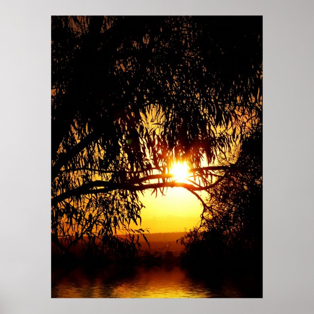 Sunrealismo: Ferntree Gully Poster (Frente)