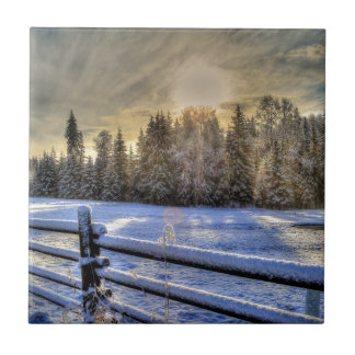 Sunrise em uma pastagem de inverno em neve