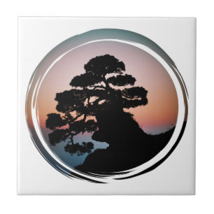 Sunset Bonsai Tree