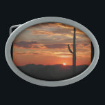 Sunset de arizona<br><div class="desc">Foto do cenário do pôr do sol da arizona</div>
